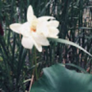 Meet your Posher, Catherine